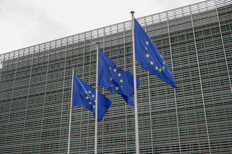 European Union flags outside an institutional building.