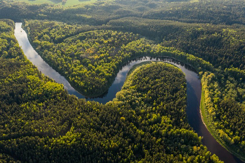 A river winding through dense forest, seen from the air.