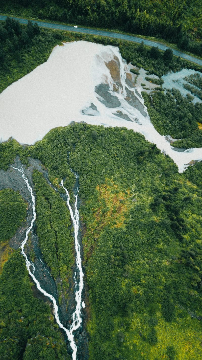 A river delta cutting through forested land, seen from the air.