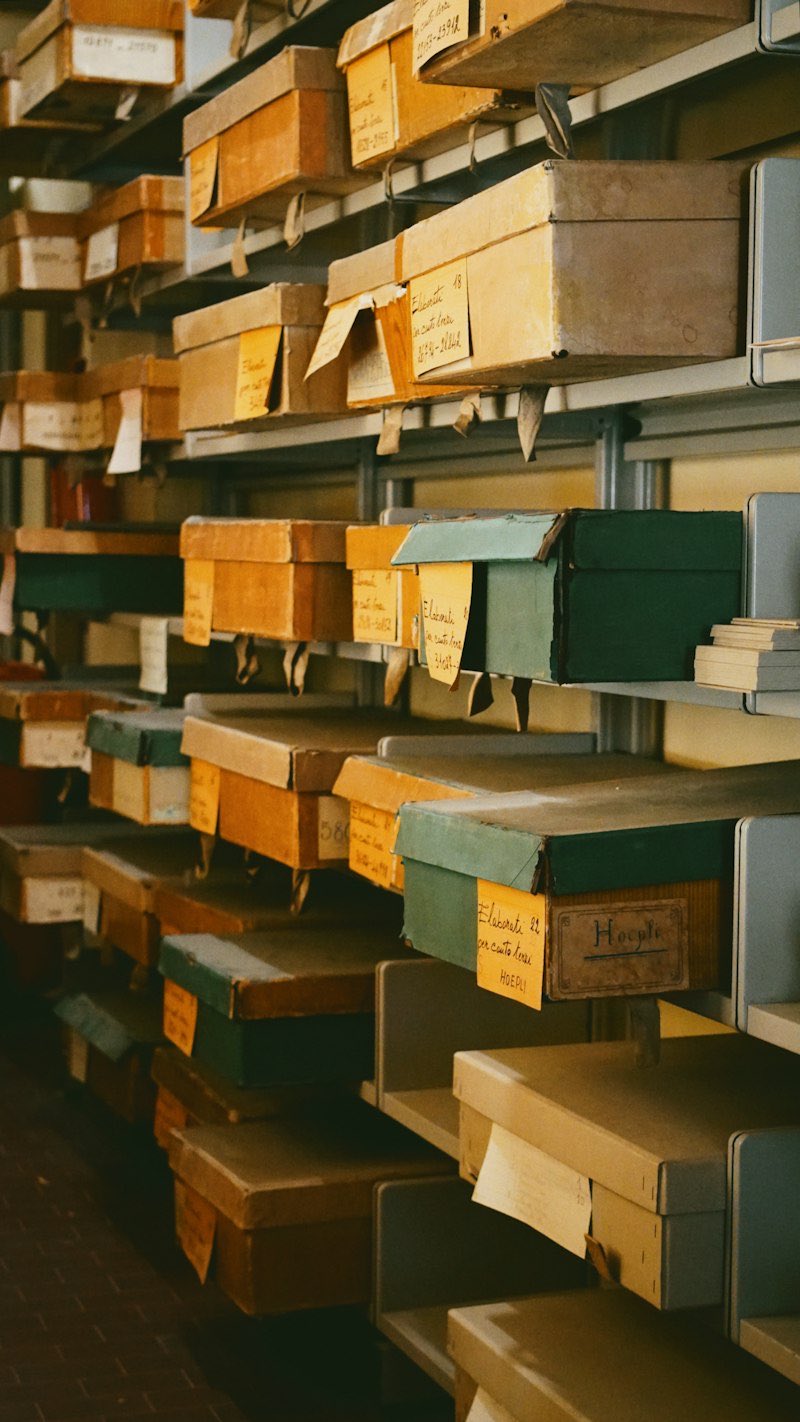 Labelled archive boxes on storage shelves.